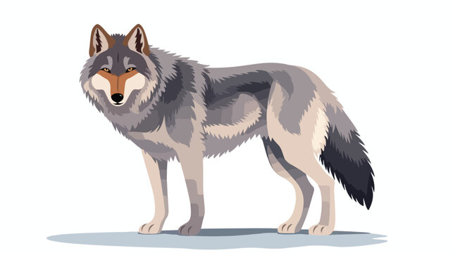 Wolf Animal flat vector  flat vector 