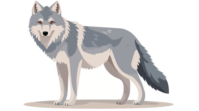 Wolf Animal flat vector  flat vector 