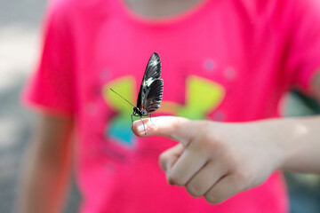 butterfly on finger