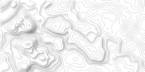 White wave paper curved reliefs abstract background. The topographic map contour in lines isolated. Abstract white topographic map background with lines. Background of the topography map.