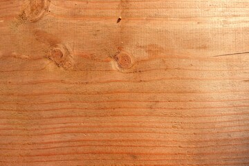 wood texture, pine tree rings,