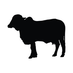  Black silhouette cow isolated on white background. Hand drawn vector illustration.