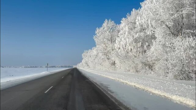 driving on a winter road, on both sides of the roadside the trees are covered with snow on a clear sunny day, blue sky