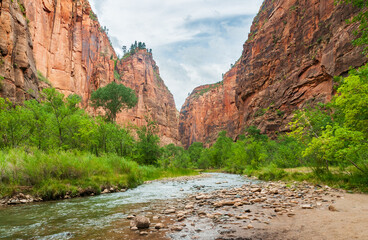 The Virgin River and its Tributaries at Zion National Park