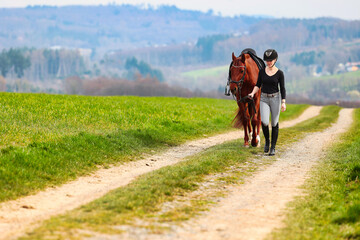 Fototapeta premium Horse and rider, saddled in riding clothes, walk side by side up a dirt road through green fields.