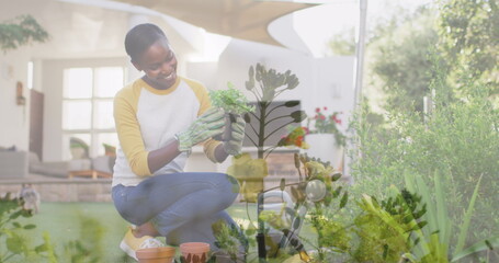Composite image of plants in the garden against african american woman holding a plant at home
