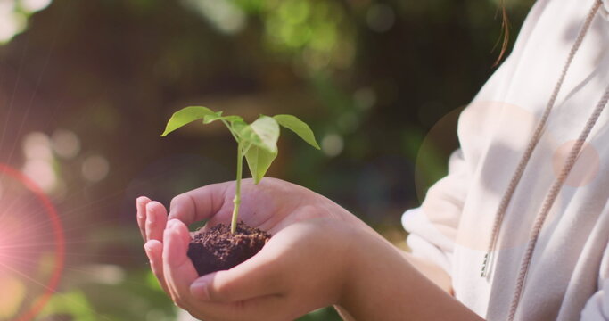 Spot of light against close up of a woman hands holding plant sampling in the garden - Powered by Adobe