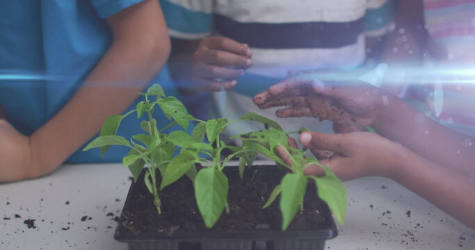 Blue light trails against diverse group of students touching plant samplings at school