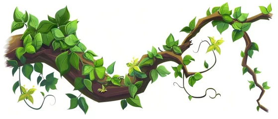 Foto op Canvas The roots of the creeper ivy tree trunk are covered in leaves and flowers. Cartoon modern illustration of jungle vine with foliage. © Mark