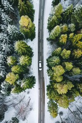 Aerial View of Road Surrounded by Trees
