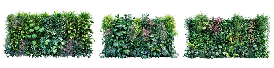 Fototapeta premium Collection of PNG. Green leaves of tropical plants bush (Monstera, palm, rubber plant, pine, bird's nest fern) isolated on a transparent background.