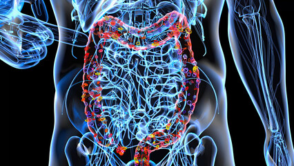 Abstract 3d anatomy view of the gut