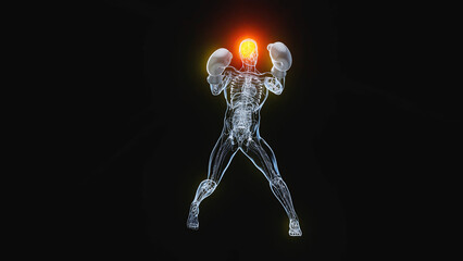 Anatomy illustration of a boxer