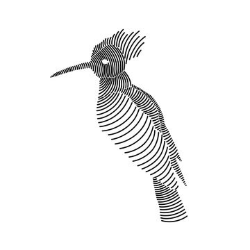 recommend clip art: Simple line art illustration of a hoopoe 2