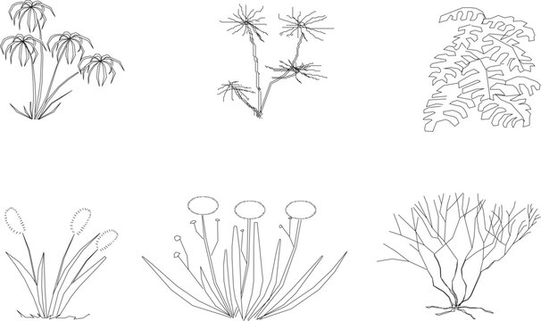 Vector sketch illustration of a collection of tree plants for completeness of the image