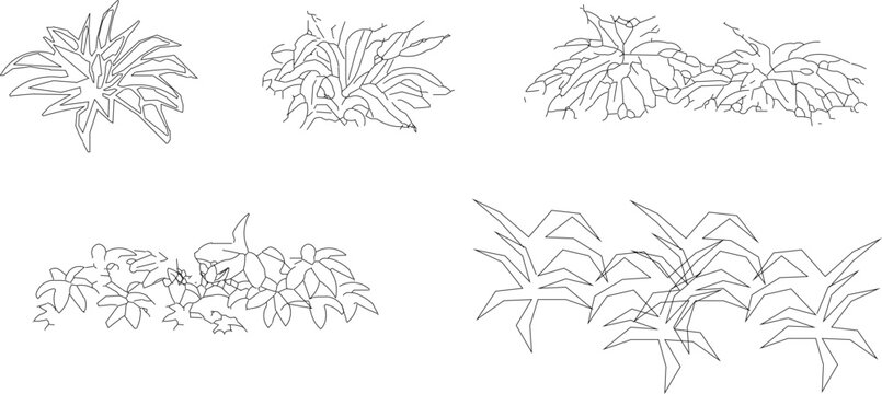 Vector sketch illustration of a collection of tree plants for completeness of the image 