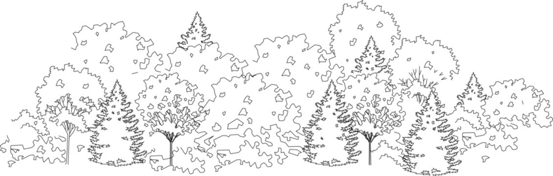 Vector sketch illustration of a collection of trees with shading to complete the image 