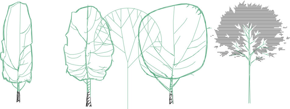 Adobe Illustrator Artwork Vector sketch illustration of a collection of trees with shading to complete the image 