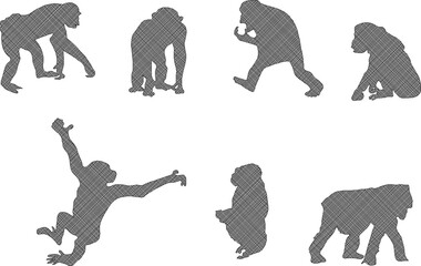 Adobe Illustrator ArtworkSketch detailed design vector illustration of animal silhouette primate chimpanzee monkey playing