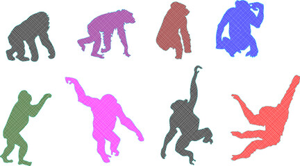 Adobe Illustrator ArtworkSketch detailed design vector illustration of animal silhouette primate chimpanzee monkey playing