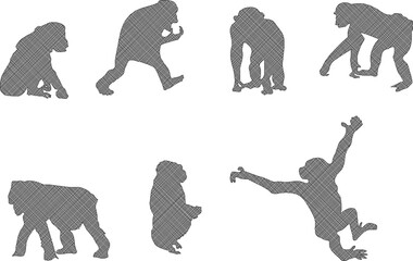 Adobe Illustrator ArtworkSketch detailed design vector illustration of animal silhouette primate chimpanzee monkey playing