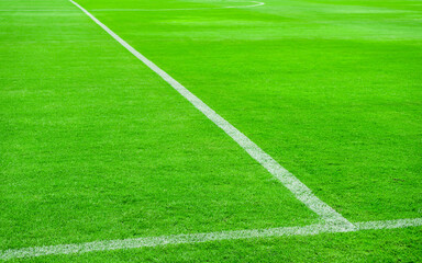 white line in soccer field grass.