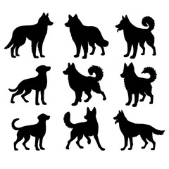 Isolated dogs on the white background. Dogs silhouettes