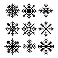 set of snow flake on white background.