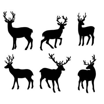 set of deer on the white background. deer silhouettes. 