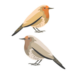Cartoon robin bird. Cute bird. Flat illustration