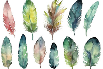 drawn hand vector feathers Set watercolor - obrazy, fototapety, plakaty