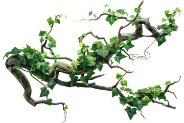 Realistic twisted jungle branch with plant growing isolated on a white background.