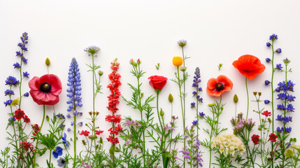 free space for title banner with a border of various flowers arranged in a row, in the style of nature-inspired imagery, detailed botanical illustrations, i can't believe how beautiful this is, white 