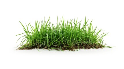 gras with soil
