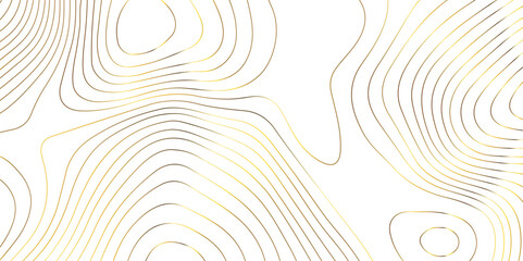 Topographic map background geographic line map pattern .panorama view golden color wave curve lines .geographic mountain relief abstract grid .the concept map of a conditional geography map . - obrazy, fototapety, plakaty
