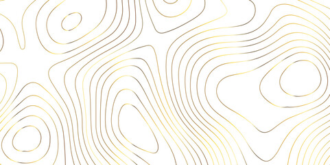 Topographic map background geographic line map pattern .panorama view golden color wave curve lines .geographic mountain relief abstract grid .the concept map of a conditional geography map .