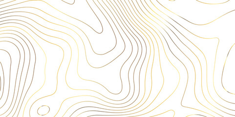 Topographic map background geographic line map pattern .panorama view golden color wave curve lines .geographic mountain relief abstract grid .the concept map of a conditional geography map .