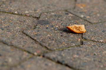 a piece of bread on a footpath