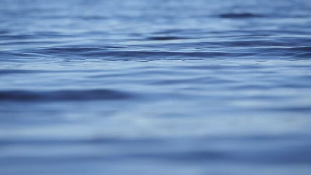 Close-up of serene blue water surface with gentle ripples.