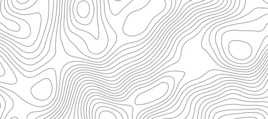 Foto op Canvas Topographic map background geographic line map pattern .panorama view black color wave curve lines .geographic mountain relief abstract grid .the concept map of a conditional geography map . © Vermelho