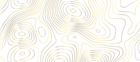 Topographic map background geographic line map pattern .panorama view golden color wave curve lines .geographic mountain relief abstract grid .the concept map of a conditional geography map .