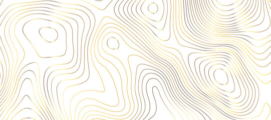 Topographic map background geographic line map pattern .panorama view golden color wave curve lines .geographic mountain relief abstract grid .the concept map of a conditional geography map . - obrazy, fototapety, plakaty