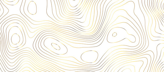 Topographic map background geographic line map pattern .panorama view golden color wave curve lines .geographic mountain relief abstract grid .the concept map of a conditional geography map .