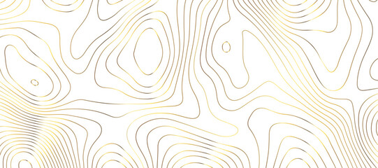 Fototapeta na wymiar Topographic map background geographic line map pattern .panorama view golden color wave curve lines .geographic mountain relief abstract grid .the concept map of a conditional geography map .