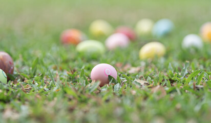 Colorful Easter eggs on green grass. Selective focus on pink egg