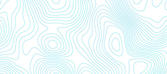 Topographic map background geographic line map pattern .panorama view blue color wave curve lines .geographic mountain relief abstract grid .the concept map of a conditional geography map . - obrazy, fototapety, plakaty