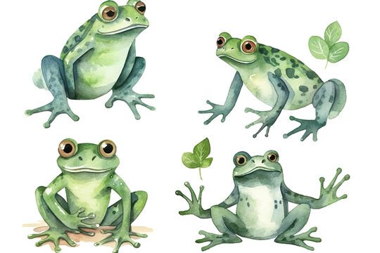 illustration cute Set white frogs Vector isolated watercolor