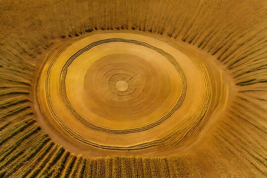 Top-down image of a bizarre crop circle in a golden wheat field. 