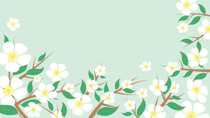 Abstract Jasmine flower background Vector design floral frame