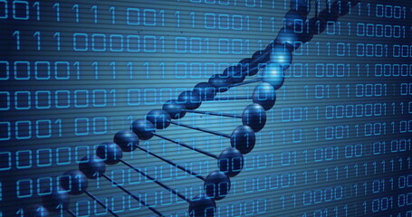 Image of dna rotating over binary code on blue background